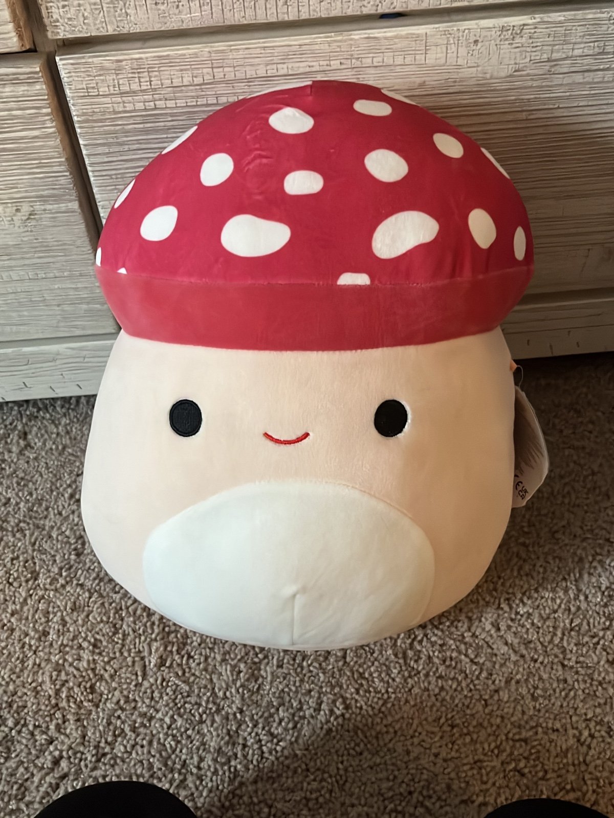 Squishmallows Malcolm the Mushroom 16