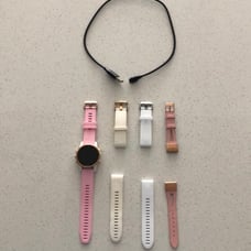 Garmin Fenix 5S Rose Gold Bundle