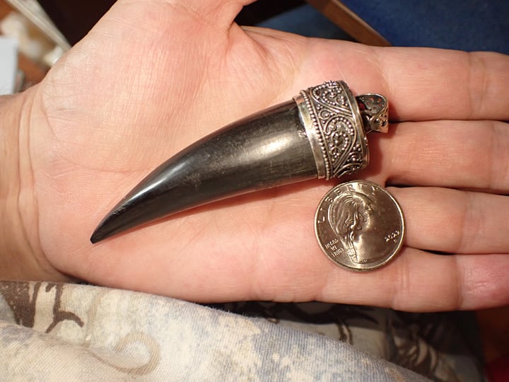Horn Pendant in Sterling Silver