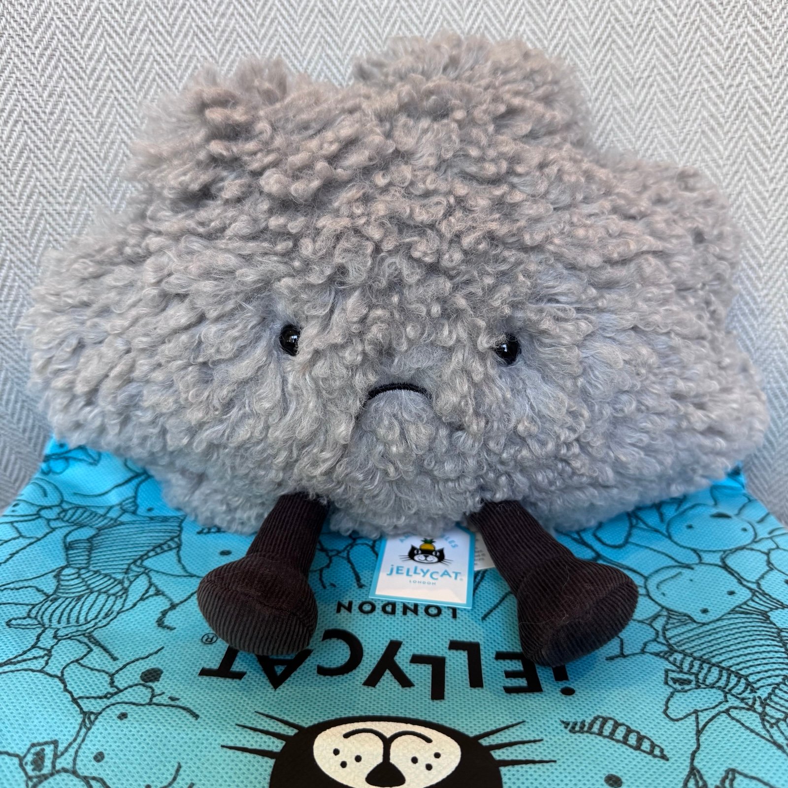 Jellycat Amuseables Storm Cloud Plush Toy NWT