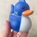Mini Sharks Rubber Ducks (Set of 24)