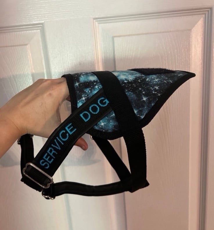Service Dog Vest