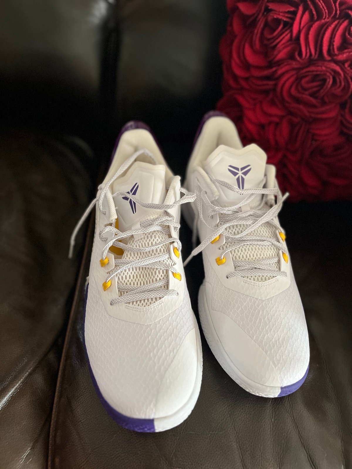 Kobe Mamba fury