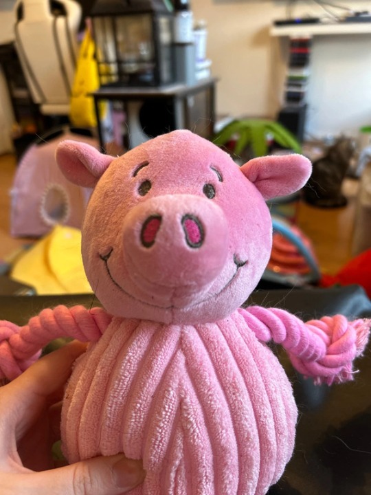 Percy Pig dog toy