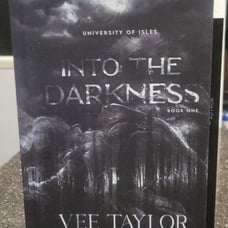 Into the Darkness Vee Taylor