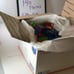 Lot 140 Piece Large Lego Mega Bloks Toys
