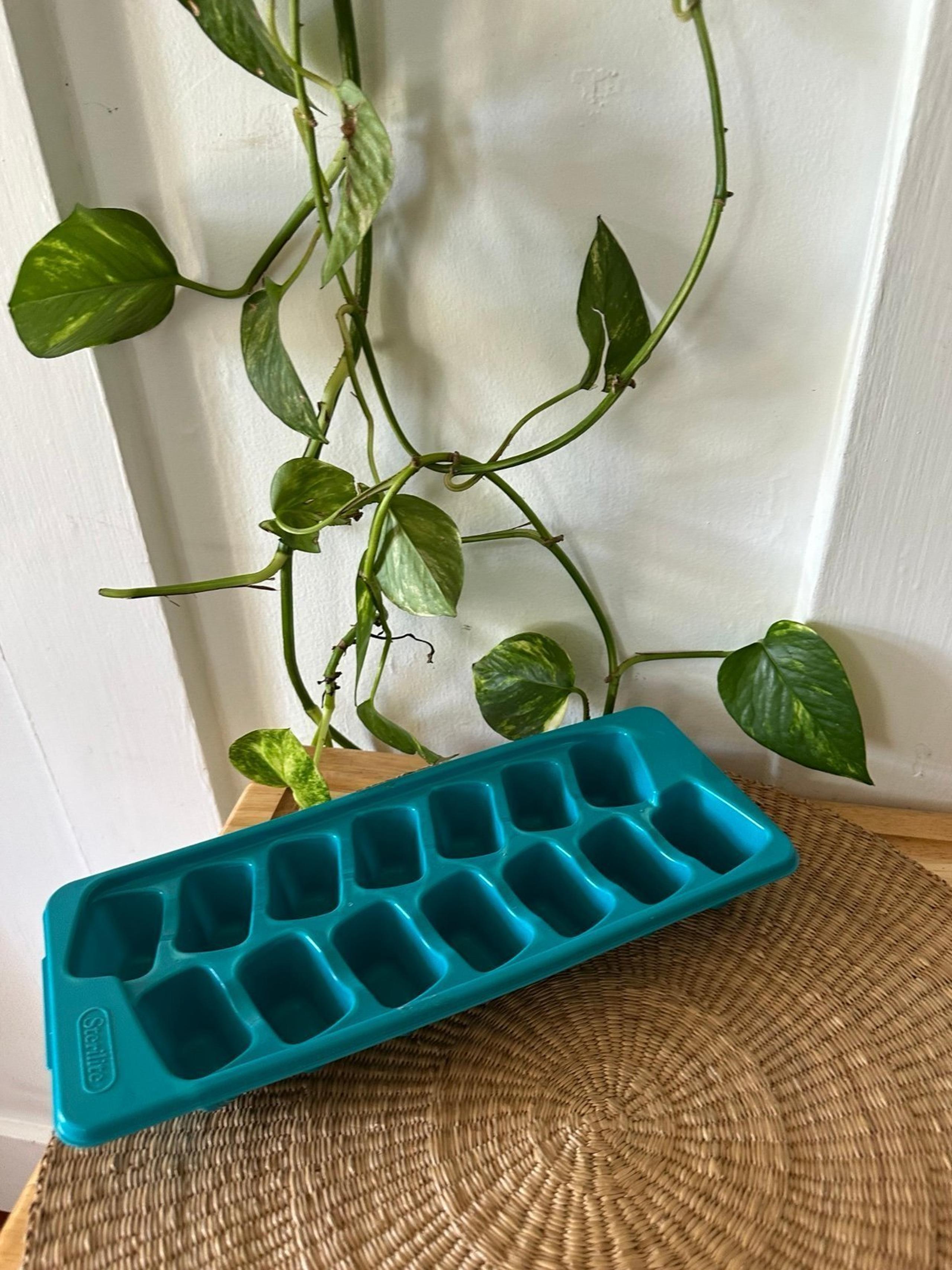blue ice cube tray - Sterilite