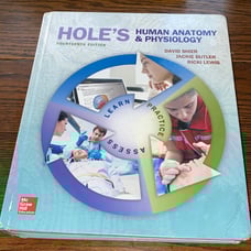 Holes Human Anatomy And Physiology 14 Ed