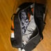 Brand New Ozark Trail 10-Person Cabin Tent - Perfect for Camping Adventures