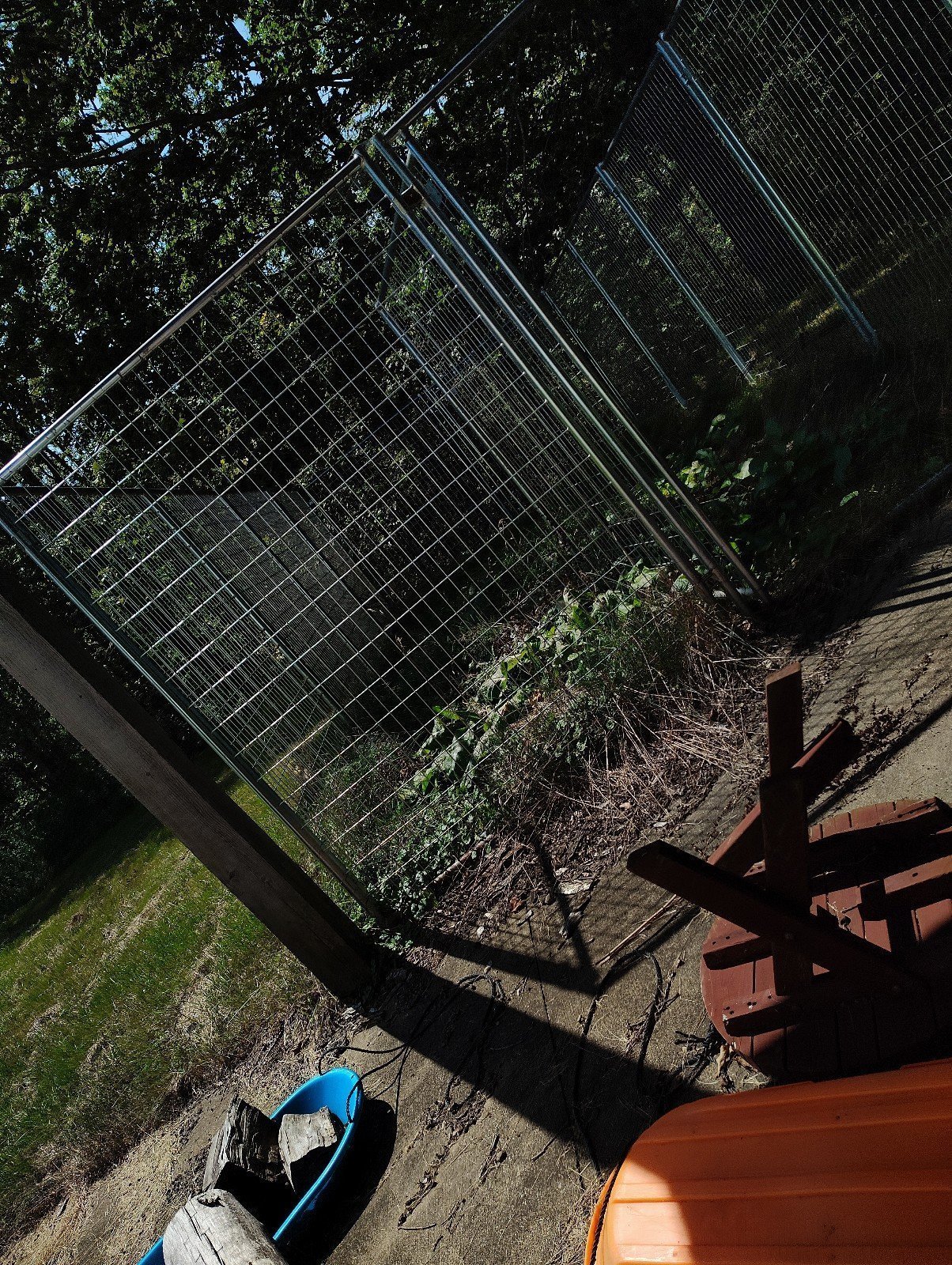 Outside Dog Kennel