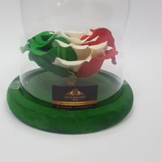 VIVID BOUQUET Preserved Ecuadorian Roses