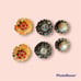 Vintage Sandor earrings enamel rhinestone clip earrings flower