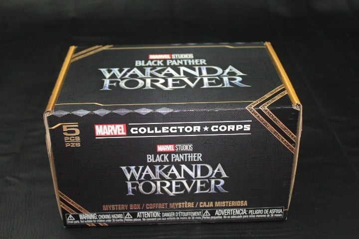 Funko Marvel Collector Corps Black Panther Wakanda Forever - New