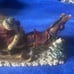 CRINKLE CLAUS SLEIGH LIMITED EDITION FIGURINE