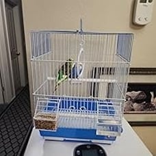 NEW Bird Cage Flat Top Economy Parakeet and Small Bird White Wire Blue Pan