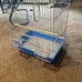 NEW Bird Cage Flat Top Economy Parakeet and Small Bird White Wire Blue Pan