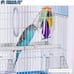 NEW Bird Cage Flat Top Economy Parakeet and Small Bird White Wire Blue Pan