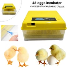 NEW 48 Egg Automatic Incubator Turner Hatcher Chicken w/ Temperature Control