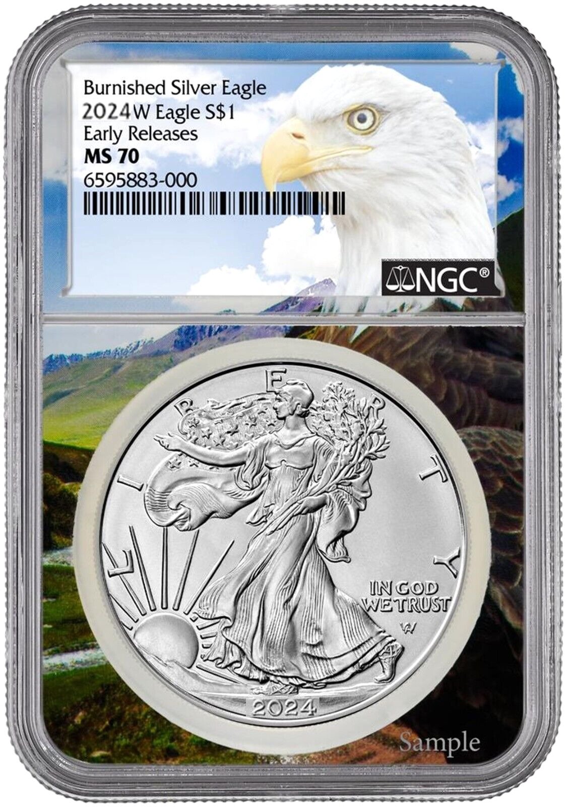 2024 W 1oz Burnished Eagle NGC MS70 Early Releases Eagle Core