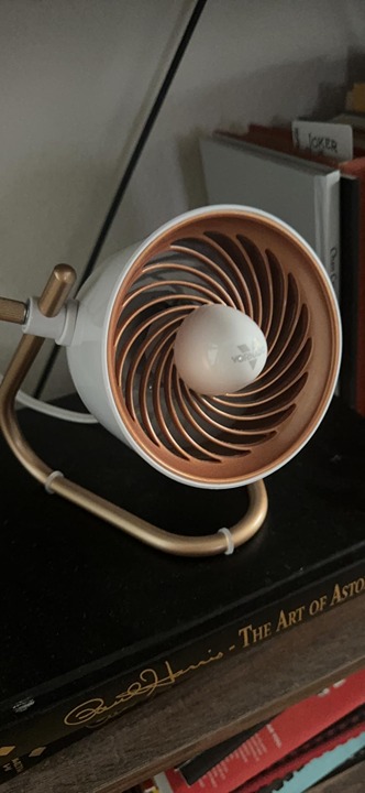 Personal Air Circulator Fan, Copper