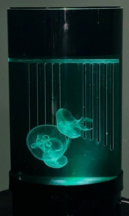 Nano Jellyfish Tank (only)