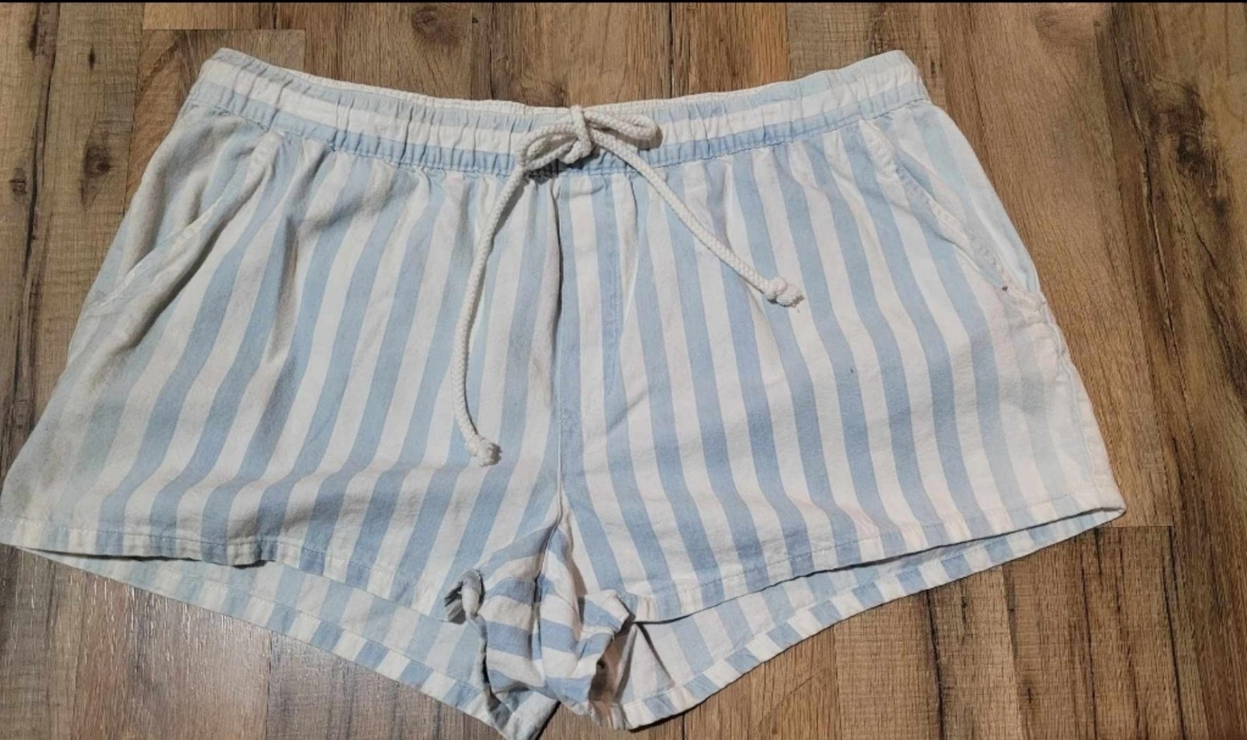 Aerie womens white and light blue cotton stripped shorts size large