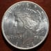 1924 Peace Silver Dollar 14148