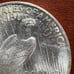 1924 Peace Silver Dollar 14148