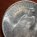 1924 Peace Silver Dollar 14148