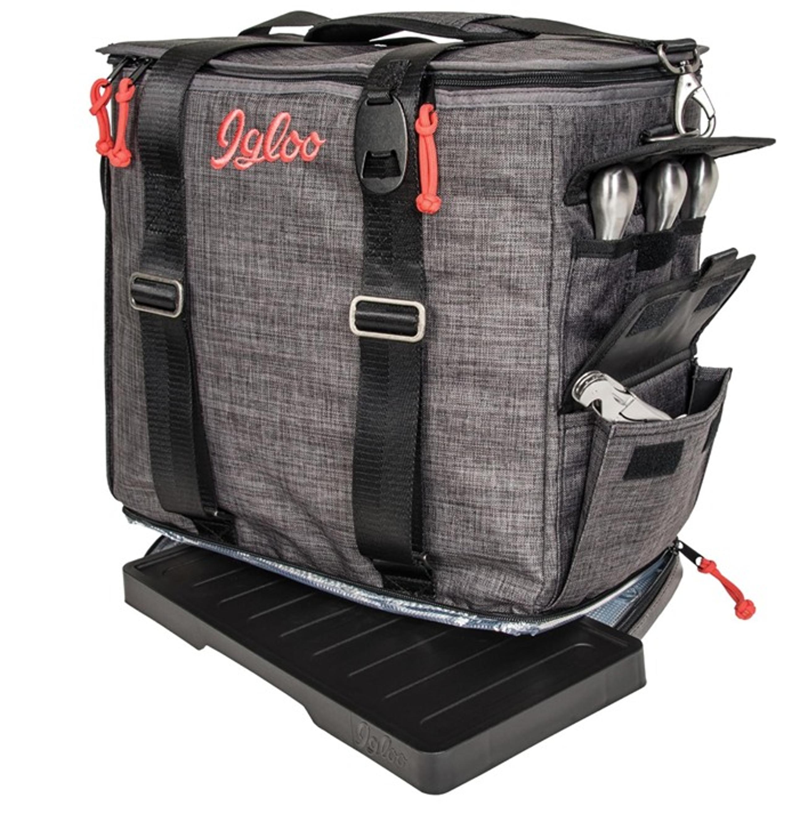 Igloo DayTripper Tote