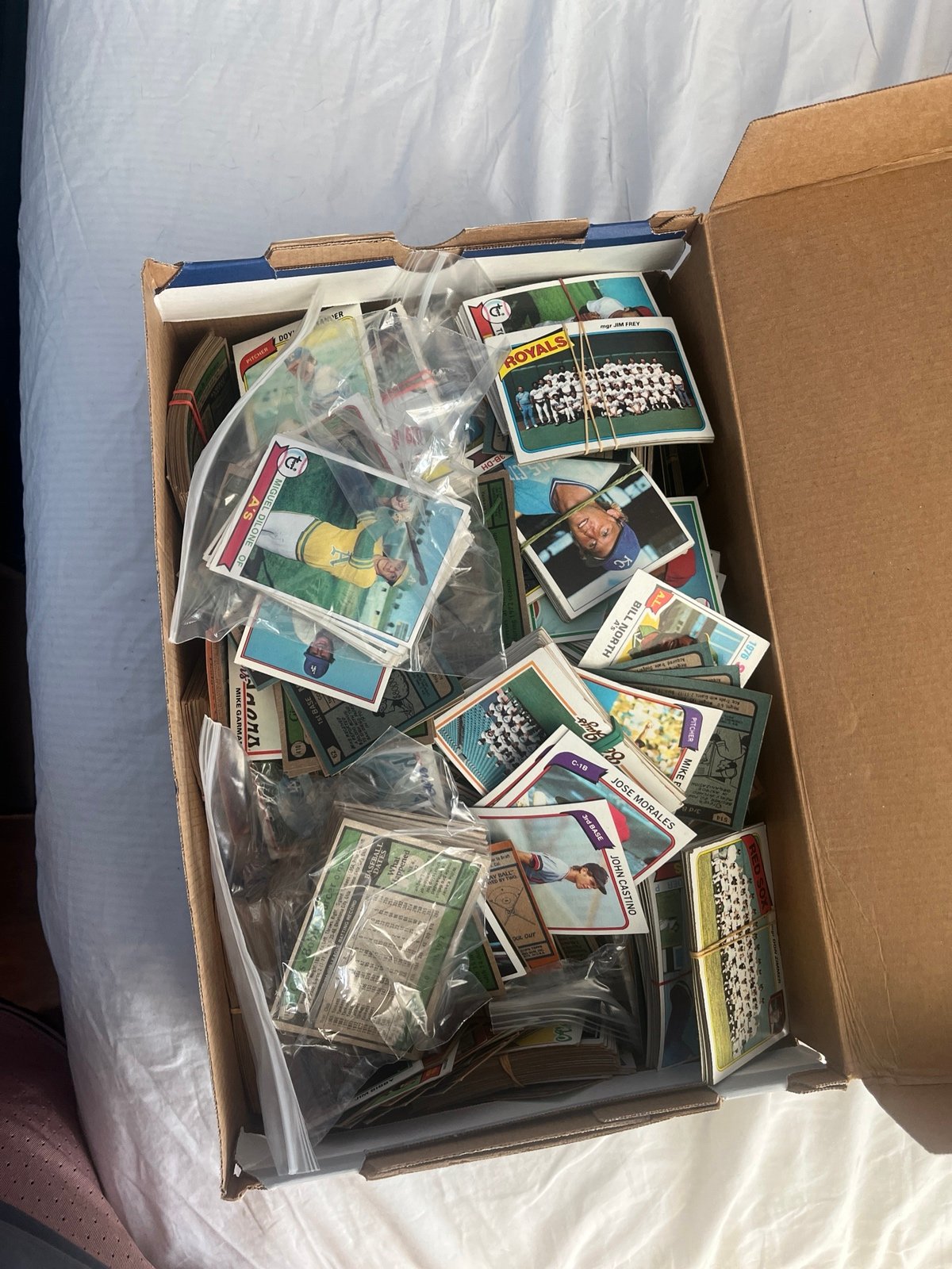 Sports cards