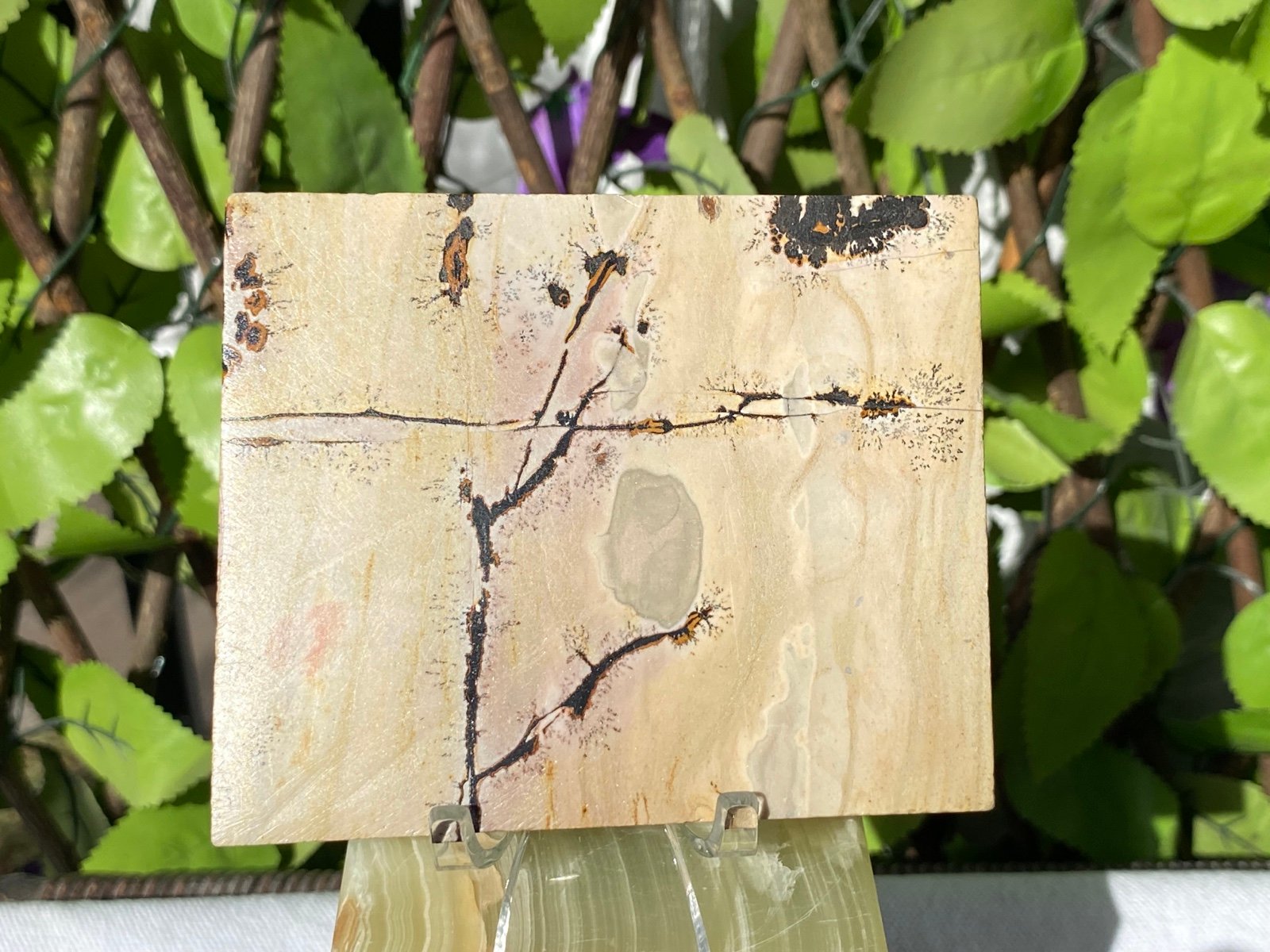 Picture Jasper Slab 2