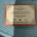 2024 Allen & Ginter Topps Vladimir Guerrero Jr Booklet Auto Wood Bat Relic /10
