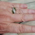 R617 Peridot Engagement Ring. Size 8.