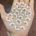 5 D flower Heandmade acrylic white
