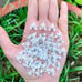 5 D flower Heandmade acrylic white
