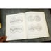 Mudras Ritual Hand Poses Buddha Shiva Priests Bali 1924 Antique Book Illustrated
