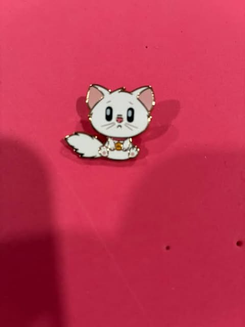 WDI PATF Marcel chaser le 300 adorb pin