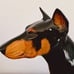 Rare Large Vintage Porcelain Doberman Statue