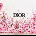 Christian Dior makeup bag