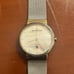 skagen watch