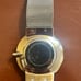 skagen watch