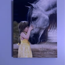 Horse picture