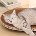 1pc Durable Polyester Cat Scratching Post with Basin Tray - Anti-Theft One-Piece