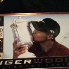 Tiger Woods 2000 golf balls