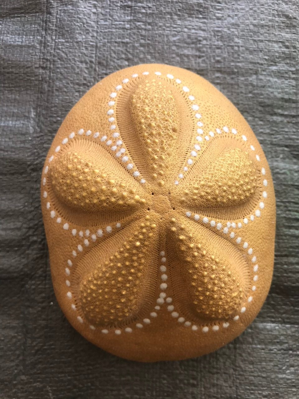 Golden Sea Biscuit - Home Decoration