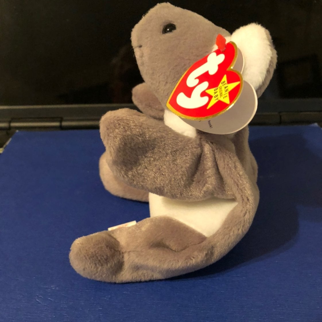 Beanie Baby, TY, Mel,Kola Bear,new