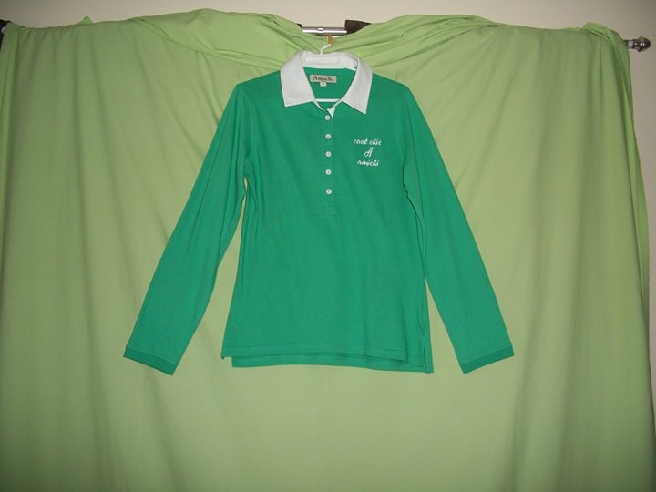 Amichi Green Blouse with White Collar