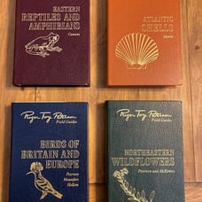 Roger Tory Peterson Field Guides 50th anniversary edition 4-pack Books Easton