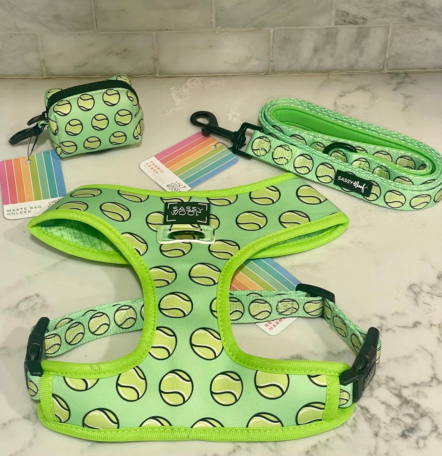 Sassy Woof Serving Up Sass Dog Harness, Leash & Poop bag Dispenser Bundle large